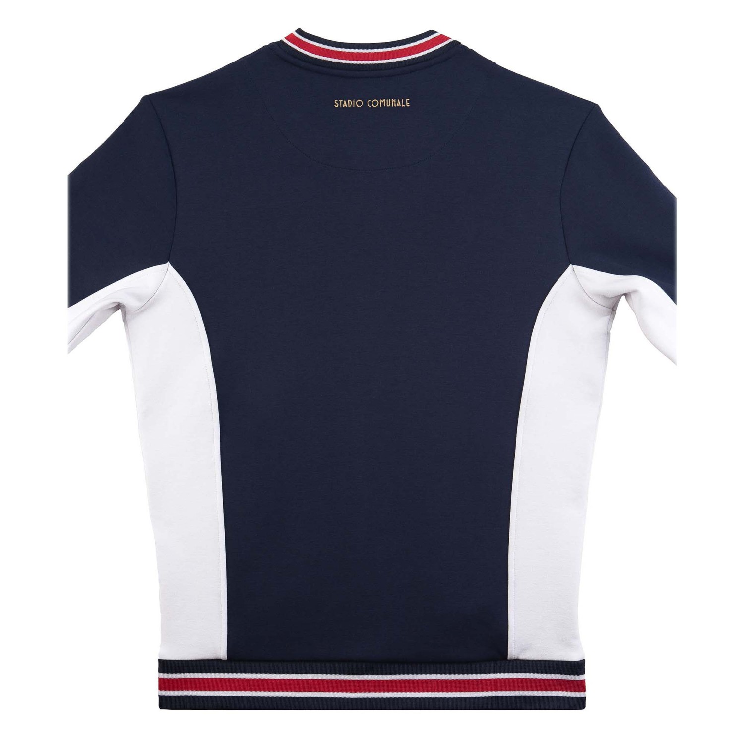 Track jacket in bleu blanc rouge colour, represente le PSG